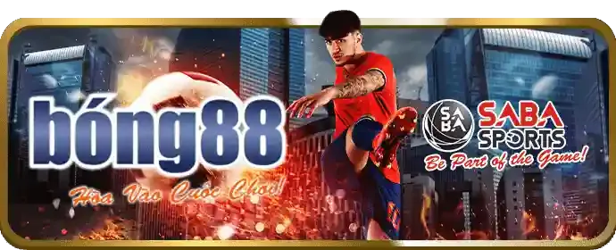 Tham gia các sự kiện và giải đấu độc quyền
